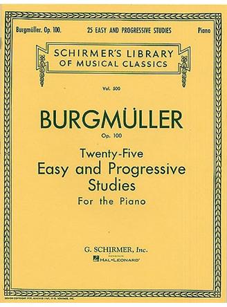 Twenty-Five Easy and Progressive Studies Op. 100