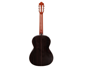 Almansa 434 Cedar Natural 4/4 | Ludimusic