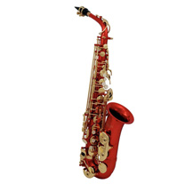 【希少】ROY BENSON アルトサックス ロイベンソン Roy Benson Eb-Alto Saxophone AS-202K