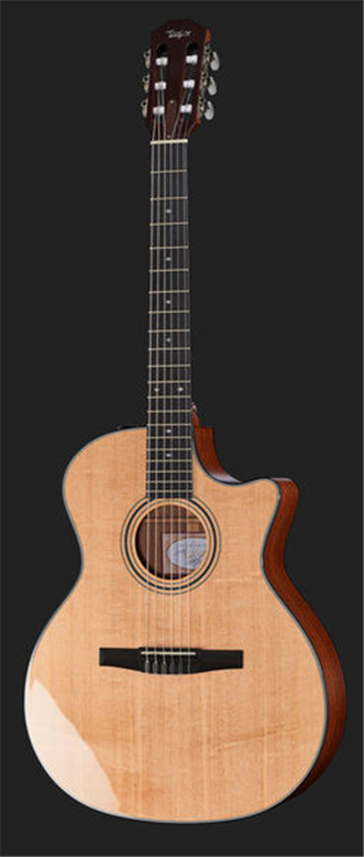 taylor 314ce nylon