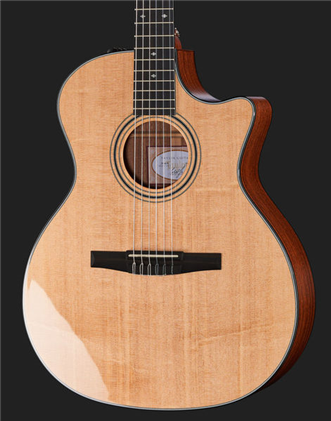 taylor 314 nylon