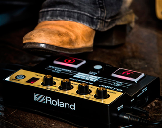 Módulo Roland EC-10M El Cajon Mic Processor | Ludimusic