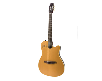 Godin silent guitar new arrivals