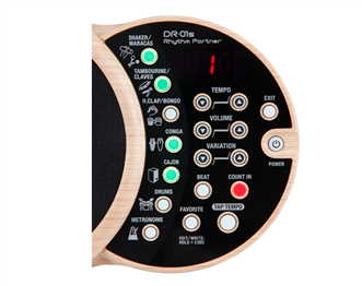 Boss DR-01S Rhythm Partner | Ludimusic