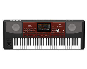 Korg deals pa600 amazon