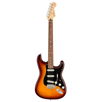 Fender strat deals plus top