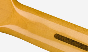 Vintage-Tint Gloss Neck Finish