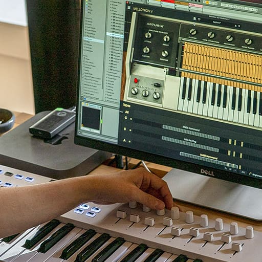 At one with Analog Lab