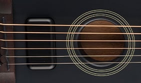 Acoustasonic Standard Shawbucker™