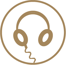 Headphones