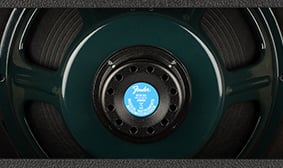 Custom Jensen Neo Speaker