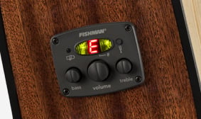 PREAMPLIFICADOR Y AFINADOR FISHMAN