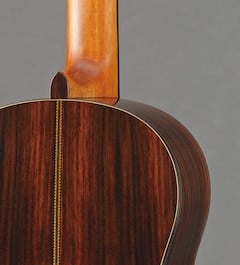 Stable Neck Condition