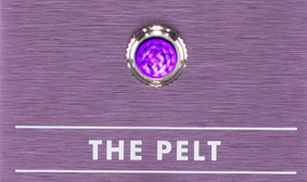 Fender Amp Jewel Led