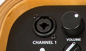 Xlr and ¼″ Inputs