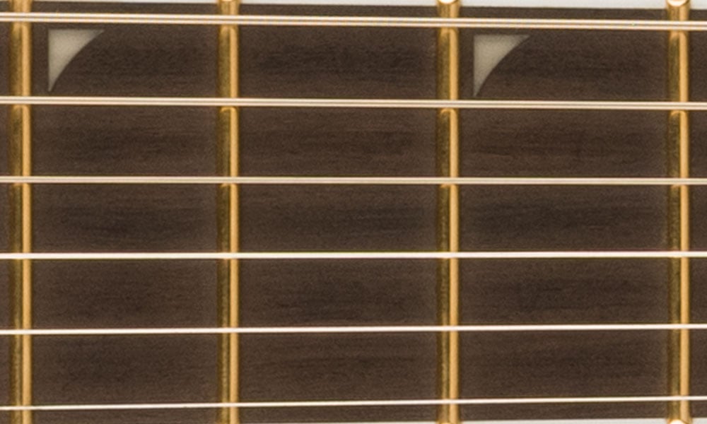 JUMBO STAINLESS STEEL FRETS