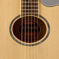 APX Soundhole : Oval