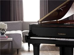 Technologically Discreet, Acoustically Elegant.
