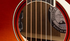 Eletrónica Fishman® Sonitone Plus