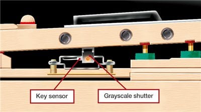 Key sensors