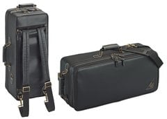 Case