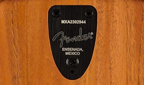 MADE IN MEXICO