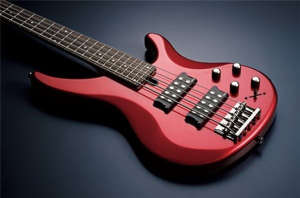 Body