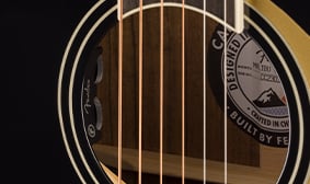 Eletrónica Fishman® Sonitone Plus