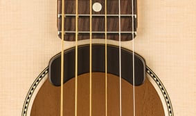 FISHMAN FLUENCE ACOUSTIC ELECTRONICS