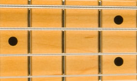 Posiflex™ Graphite Rods
