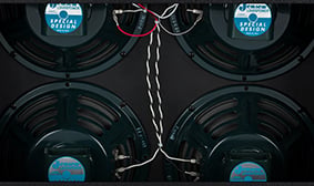 Jensen® P-10R Alnico Speakers