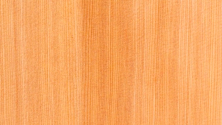 Torrefied Spruce