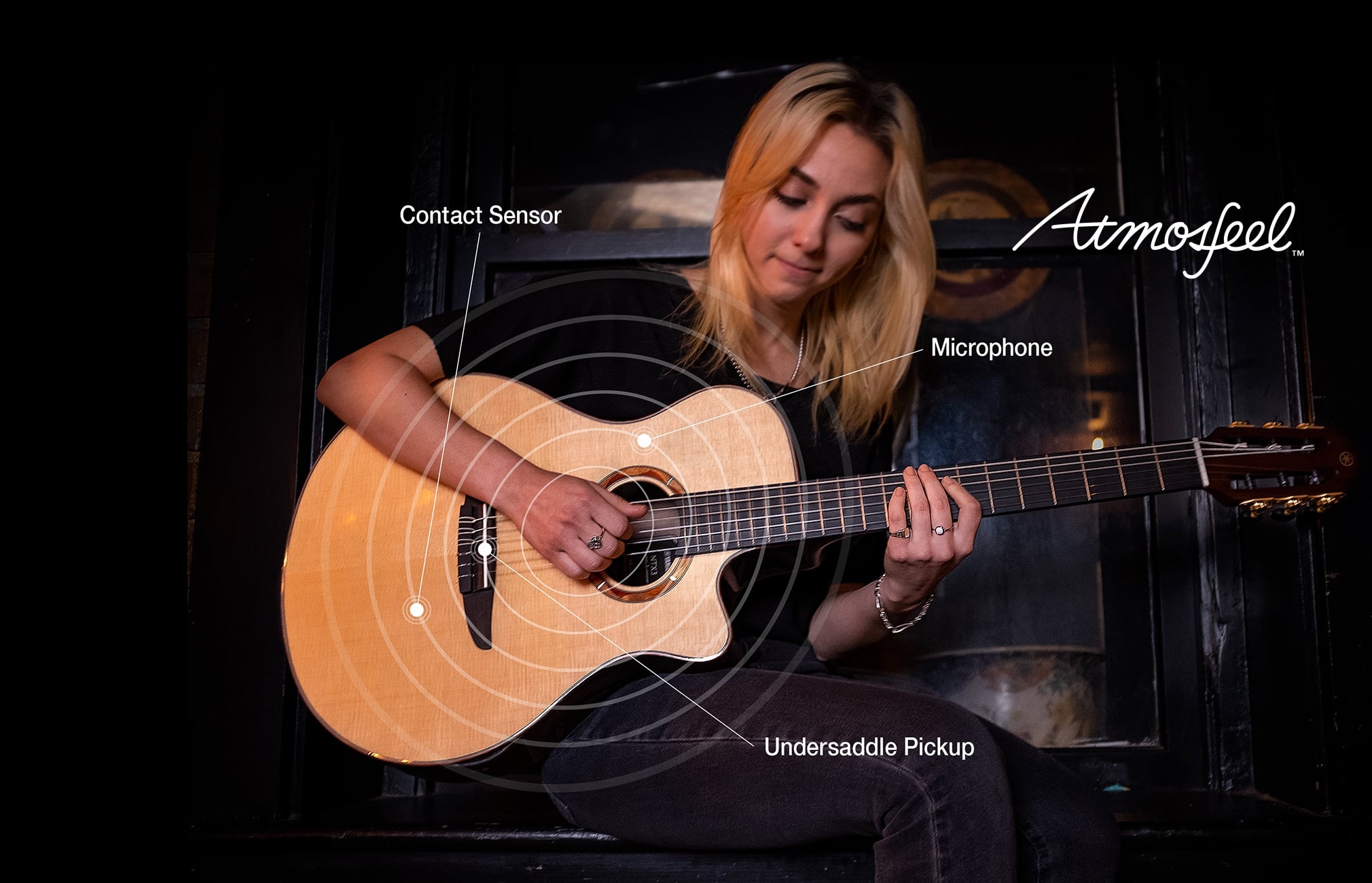 Atmosfeel Pickup and Preamp System