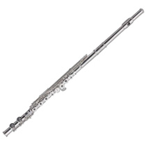 Roy Benson FL-602RE Flute
