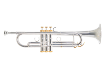 Trompete Roy Benson Charli Green Signature Prateado