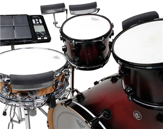 Roland BT1 Trigger Pad | Ludimusic