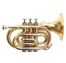 Roy Benson PT302 Pocket Trumpet