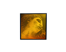 Pirastro Evah Pirazzi Gold 4/4 Mi Violin String