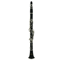 Roy Benson CB317 17 Keys Clarinet