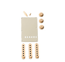 Fender Stratocaster Accessory Kit Aged White
