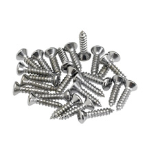 Fender Pickguard Mounting Screws Chrome