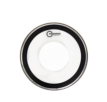 Aquarian PFPD16 Perfomance II Dot Clear 16" Tom Head