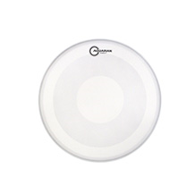 Aquarian TCSXPD18 StudioX Texture Coated Power Dot 18" Tom Head