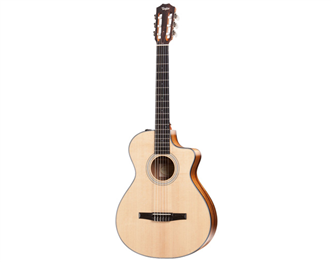 Taylor 312ce-N Nylon Natural | Ludimusic