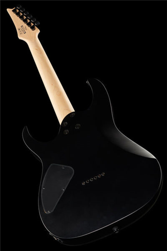 Ibanez RG421EX Black Flat | Ludimusic