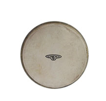 LP CP221A 6" Bongo Head