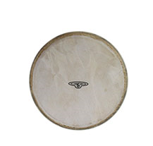 LP CP221B 7'' Bongo Head