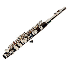 Roy Benson PC502 Piccolo Flute