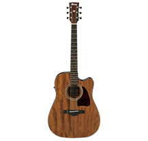 Ibanez AW54CE OPN Open Pore Natural