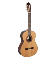 Paco Castillo 203 4/4 Gloss